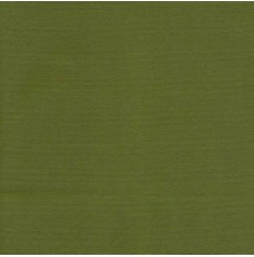 Cartenza Olive Green Outdoor Fabric Cartenza Olive Green Outdoor Fabric