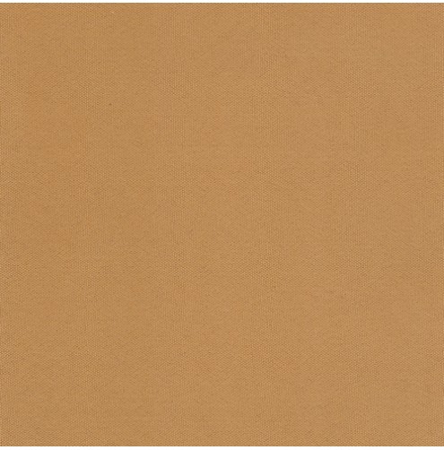 Cartenza Camel Outdoor Fabric