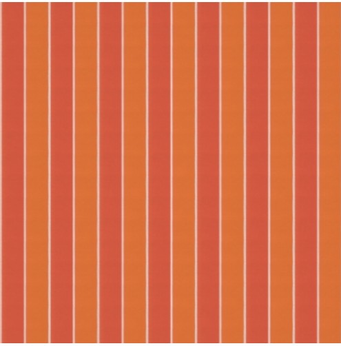 Robberg Tangerine Outdoor Fabric