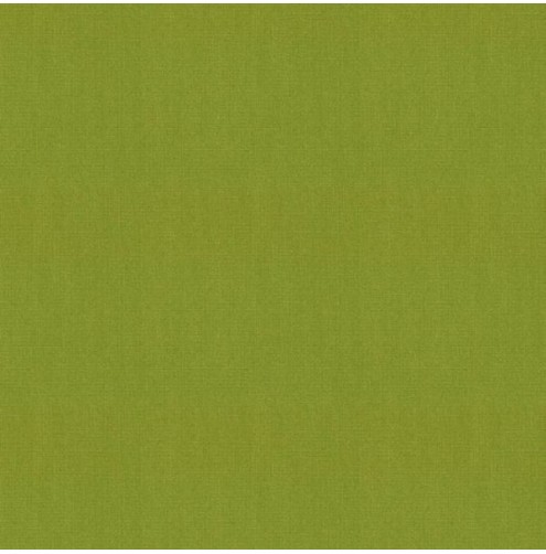 Sunbrella Solids & Stripes Macao SUNB3738 Outdoor Fabric